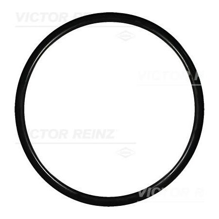 Reinz Seal Ring, 40-76384-00 40-76384-00